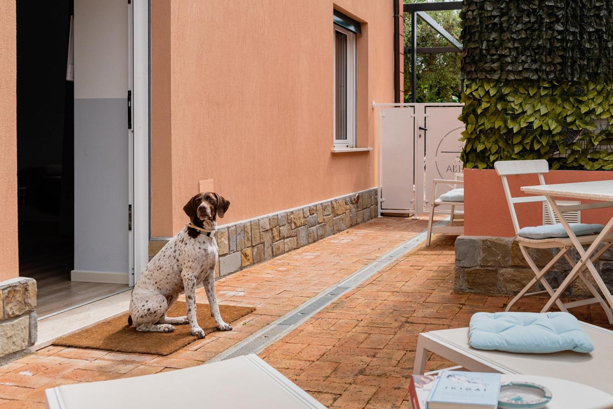 Villa Casa Vittoria Agropoli Exterior foto